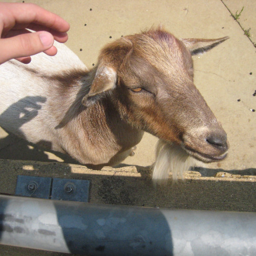 didnt mean that much 1.1