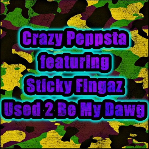 Used 2 Be My Dawg (feat. Sticky Fingaz)