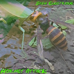 Hornet Attack