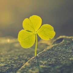 The Cloves and The Tobacco Feat Eileen Shannon - The Parting Glass