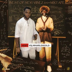Best Of Seyi Vibez 2024 Mixtape