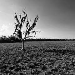 Soles Burn Up - (featuring Emma Perritte)