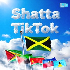 Shatta TikTok