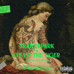 Trailerpark x Eye of the Tiger (Crowdcontrolla Hardtechno-Rock Mashup)