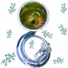 singular - una tonada para bailar