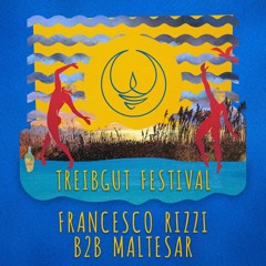 Francesco Rizzi b2b Maltesar @Treibgut Festival | Stolperwiese, Fr. 8-10 pm