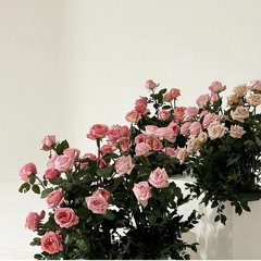 Mohsen Yegane - Collection Remix 1 (320).mp3