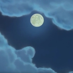 ZTCH - Другие +scallsee