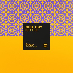 nice guy - settle