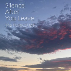 Silence After You Leave