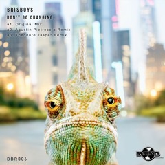 Brisboys - Don't Go Changing (Original Mix) [Brisbeats Records]