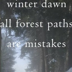 Winter Dawn Of Light (naviarhaiku474)