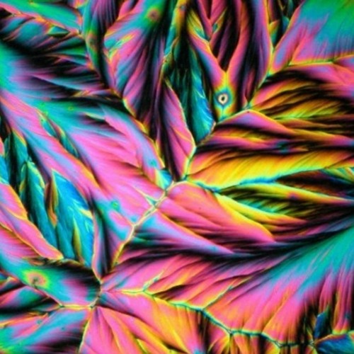 Serotonin