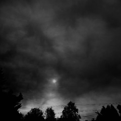 a love song for those who eat alone