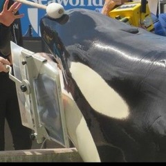 I Love When You Hate Me