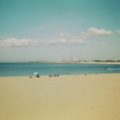 why are you doing this