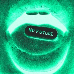 Icehunt - No Future (ft. Arnie Woods)