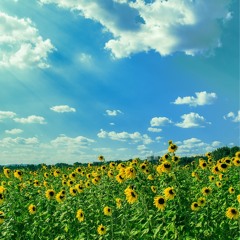 last summer