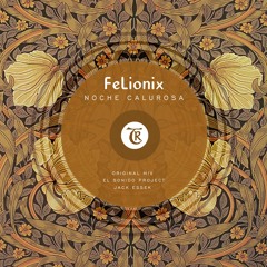 𝐏𝐑𝐄𝐌𝐈𝐄𝐑𝐄: FeLionix - Noche Calurosa (El Sonido Project Remix) [Tibetania Records]