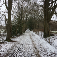 In the bleak Mid-Winter  Final 2