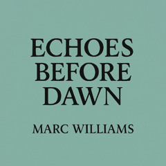 Echoes Before Dawn
