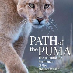 ✔️READ ❤️ONLINE Path of the Puma: The Remarkable Resilience of the Mountain Lion