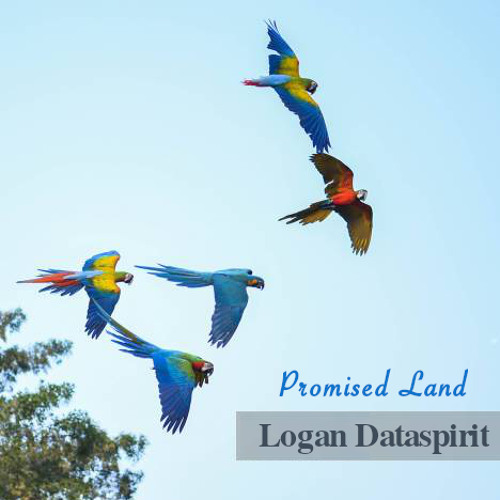 Promised Land