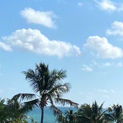 Future Never Be The Same SZA 2AM