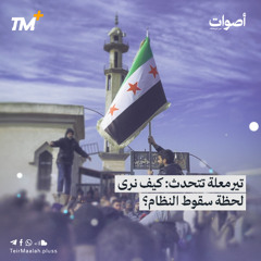أصوات | يوم سقط النظام في تيرمعلة