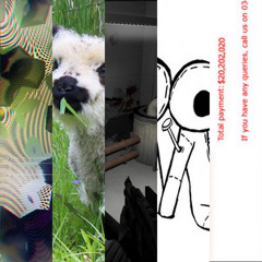 The Sound of Glitchcore