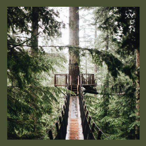 HMWL Premiere: Molly - Infinity Love (Original Mix)