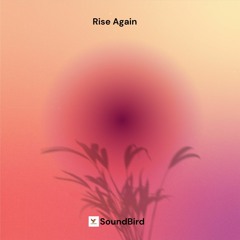 Rise Again