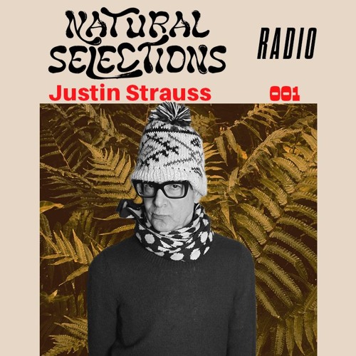 NS Radio/ EP 01 - Justin Strauss