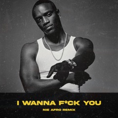 Akon feat. Snoop Dogg - I Wanna Fuck You (NIE Afro Remix)