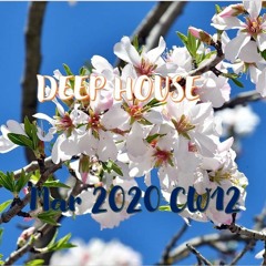 CW012 deep house best mar 2020