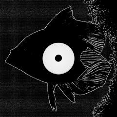 Turing : comm - Octopus Funk EP (preview)