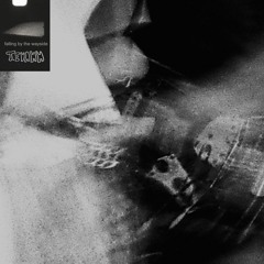 T. Evann - Falling By The Wayside