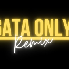 Gata Only (Turreo Rmx) - Dj Chiki & LafeRMX
