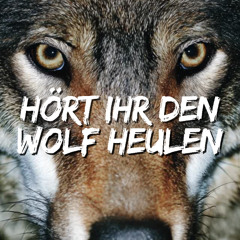 Hört ihr den Wolf heulen (Live Zwickau)