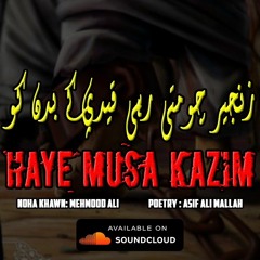 HAYE MUSA E KAZIM | New Noha 2020 | Mehmood Ali | Imam Musa Kazim Noha | Shahadat e Musa Ibn Jaffer