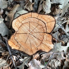 impro casio CT 670, SK1,MT 68 -4