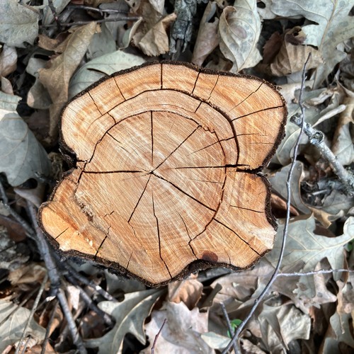 impro casio CT 670, SK1,MT 68 -4