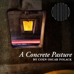 OPERATOR RADIO: A Concrete Pasture #5 Japan