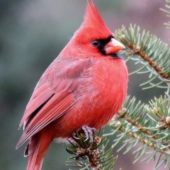 Федор яйца - Филантроп и бизнесмен (snippet)