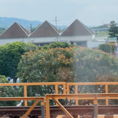 2025.5.23 小籠包をビールで流し込み。ギターをFenderのアンプに差し込み差し込み。ロマンスカーにて