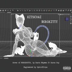 ROBOKITTY