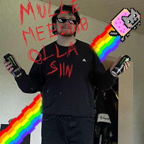 mulle meeldib olla siin