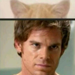 MIAU
