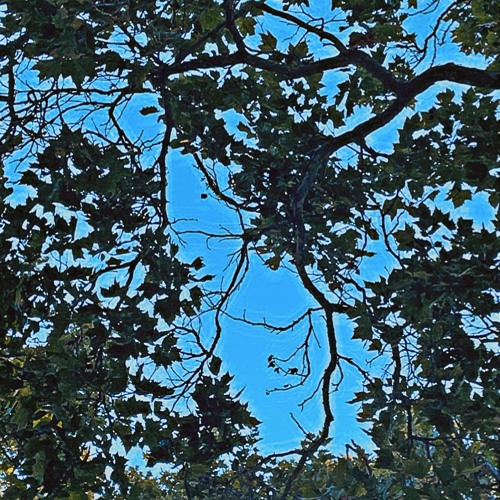 idontlikeme w/ rarecandy (prod. kaktus)