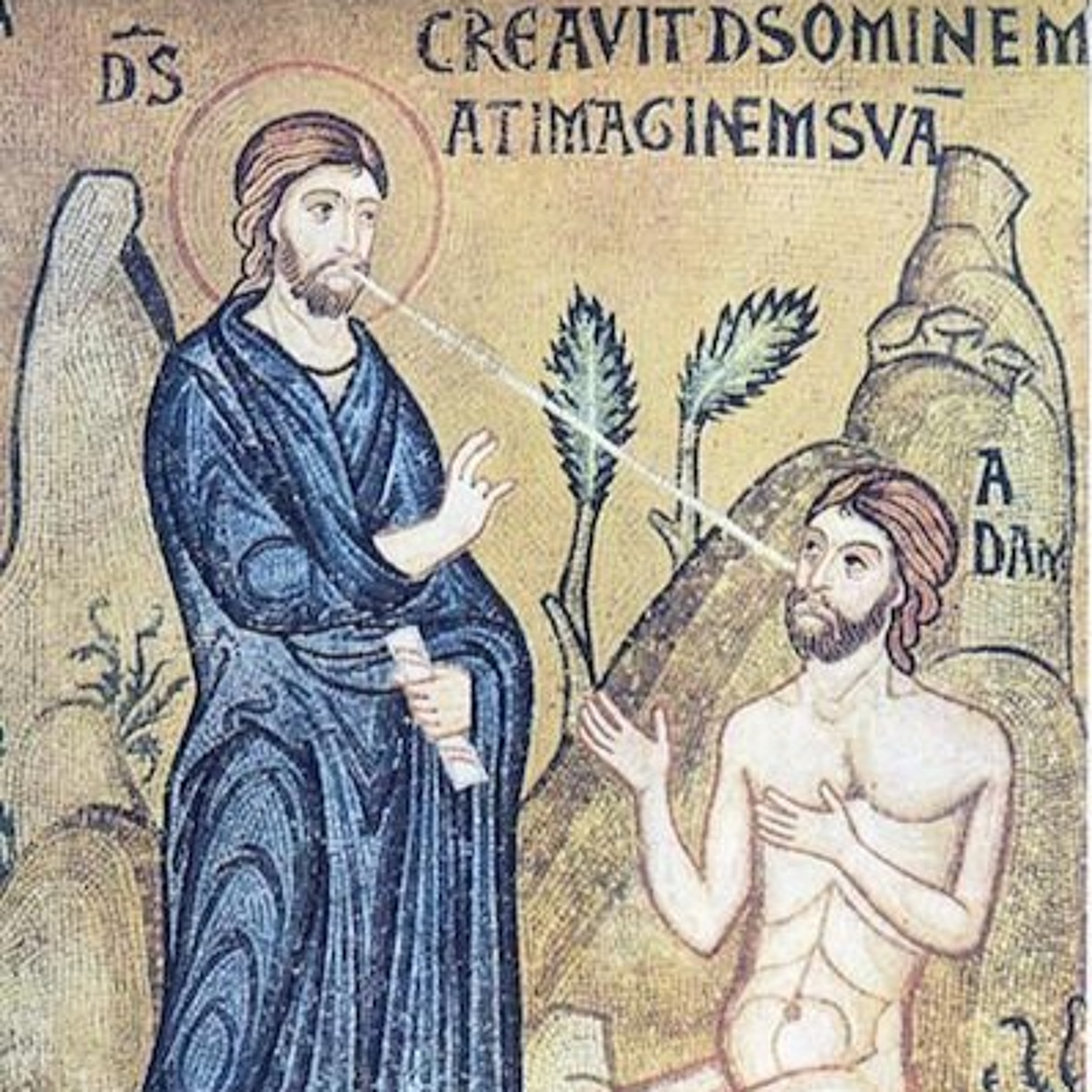 The Plan of Salvation Part 1- Fr Michael Salib